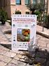 MATERA_IMG_0001.JPG
