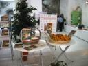 MATERA_IMG_4470.JPG