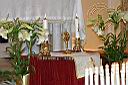 IMG_8158.jpg