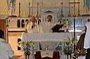 IMG_8183.jpg