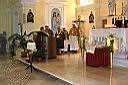IMG_8192.jpg